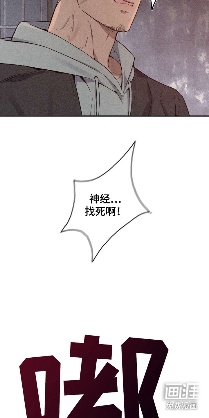 第3章：物以类聚