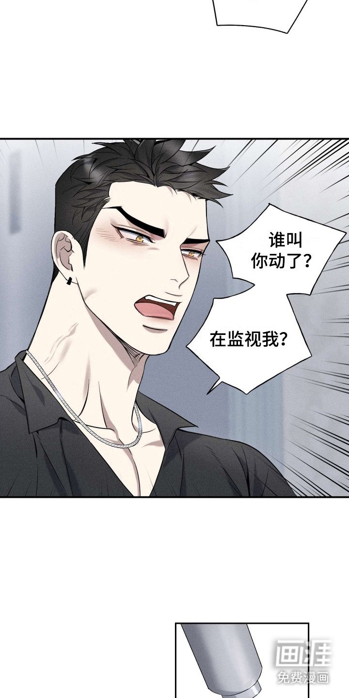 第9章：多管闲事