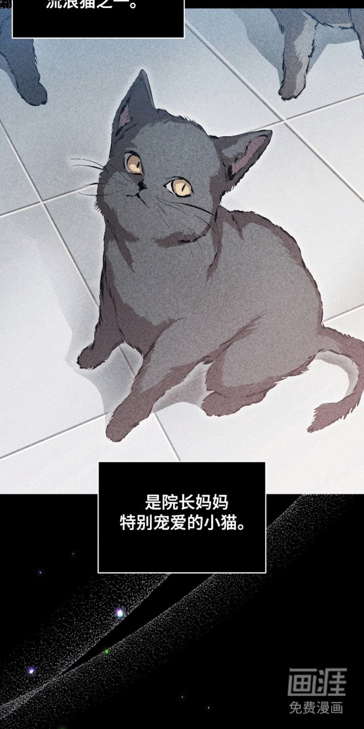 第12章：不感兴趣