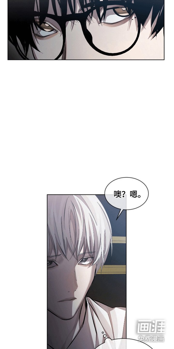 第13章：猫咪