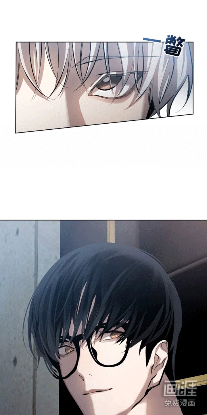 第13章：猫咪