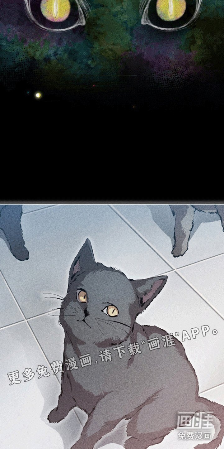 第13章：猫咪
