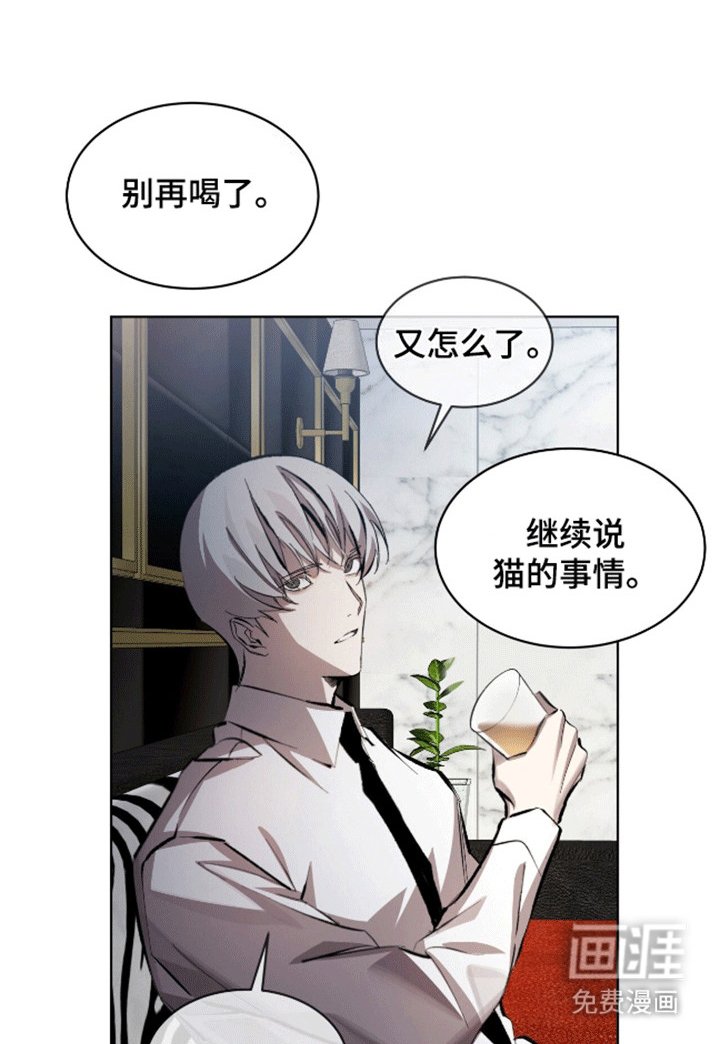第13章：猫咪