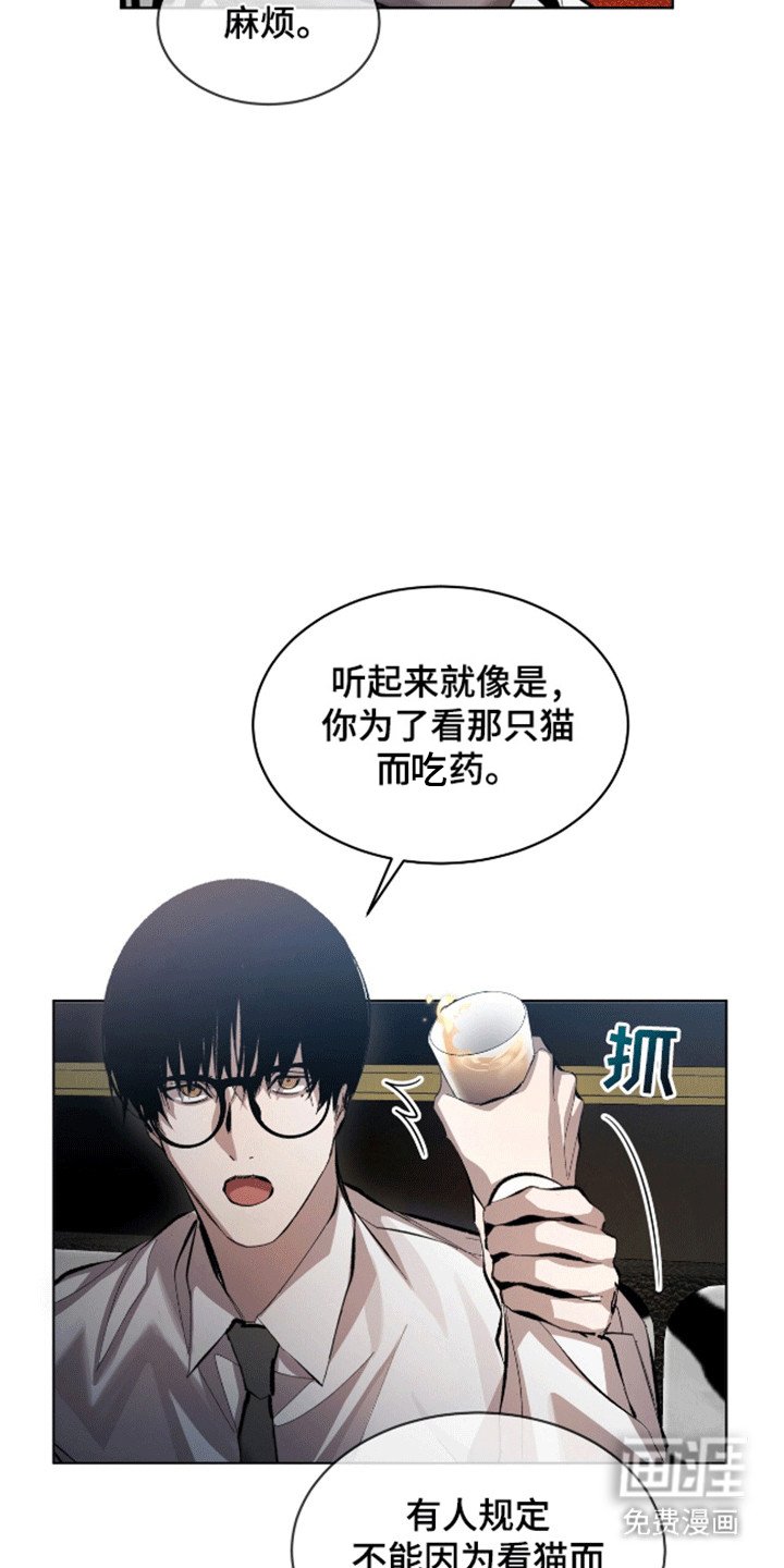 第13章：猫咪