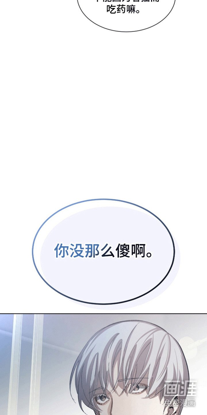 第13章：猫咪