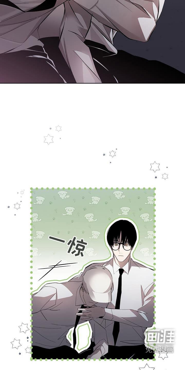 第17章：再次行动