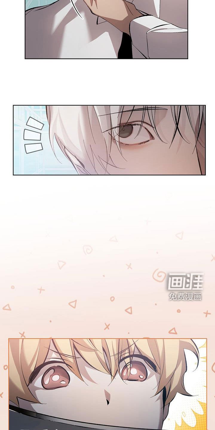 第20章：诅咒你