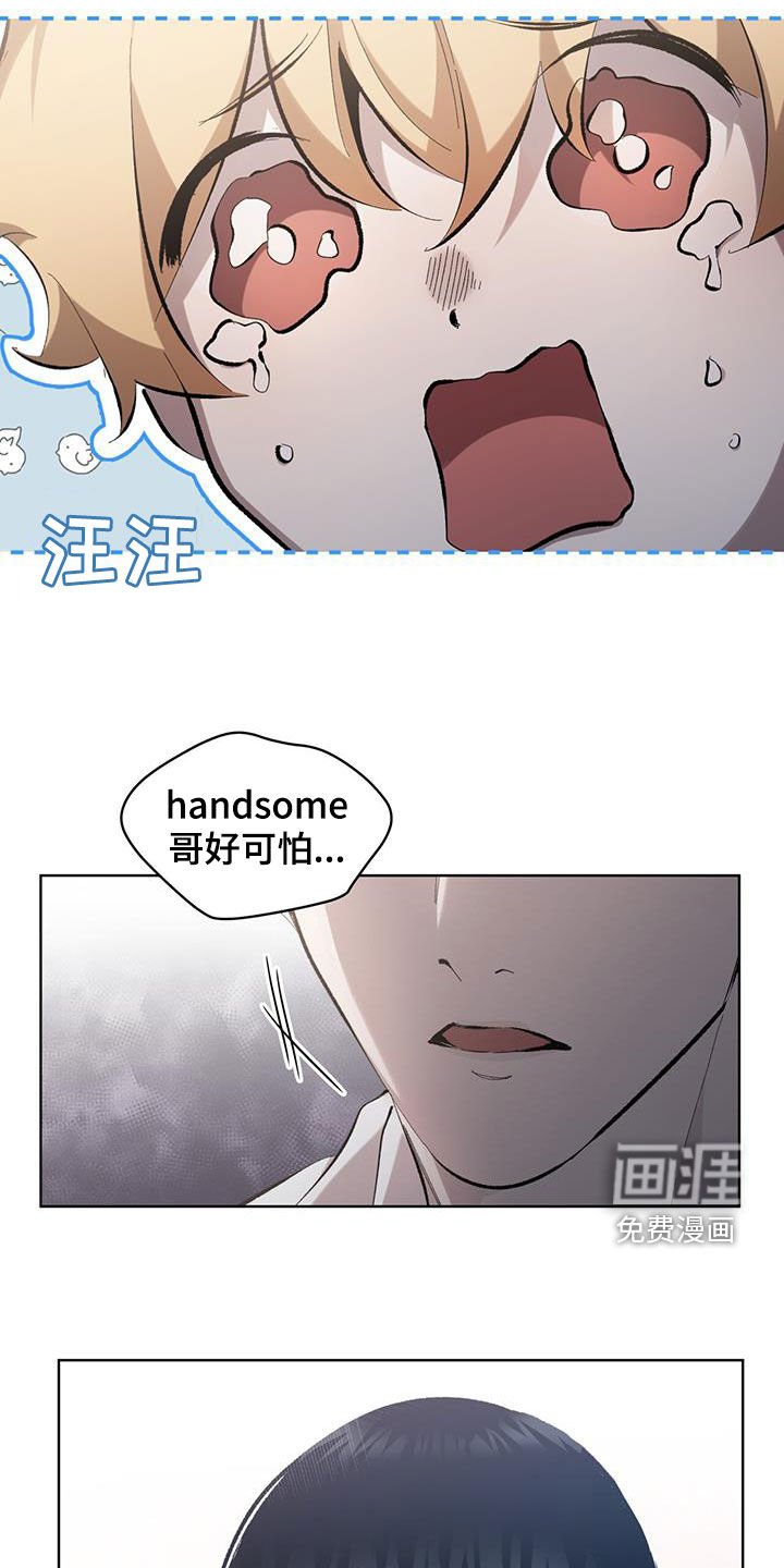 第20章：诅咒你