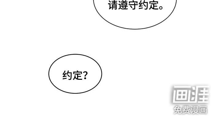 第29章：请遵守约定