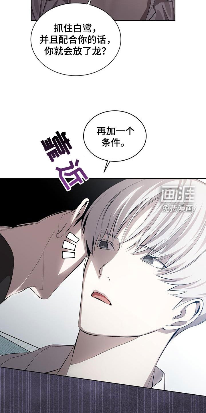 第37章：没有经验
