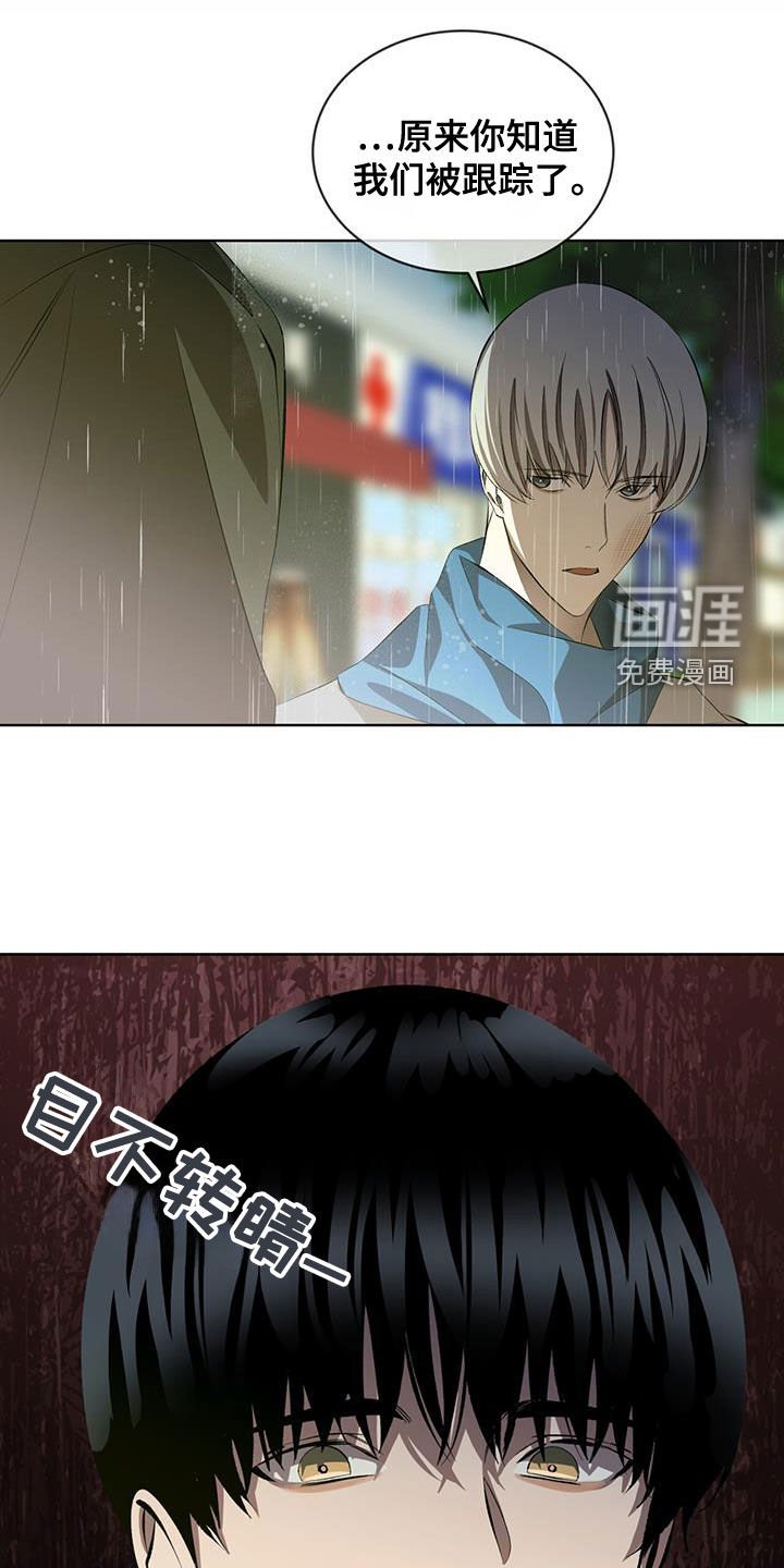 第43章：走着瞧