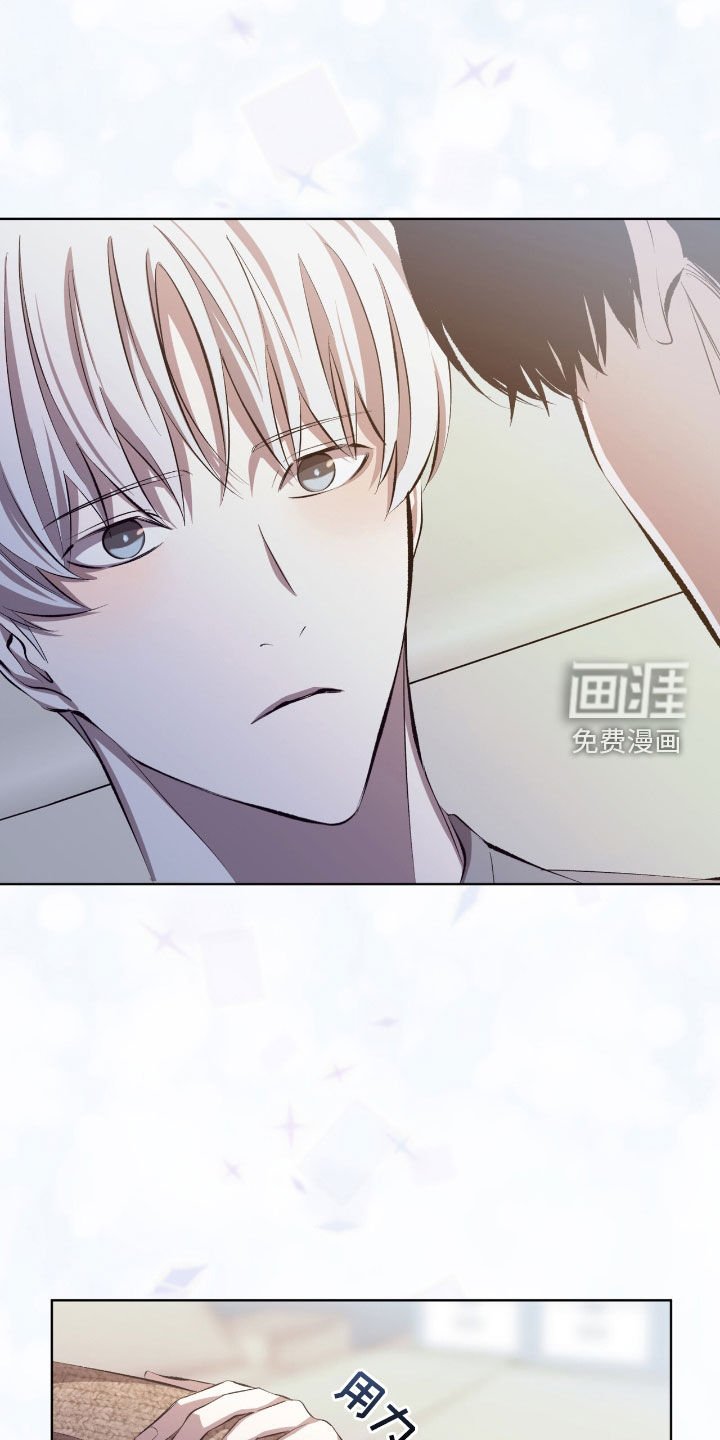 第48章：我算什么