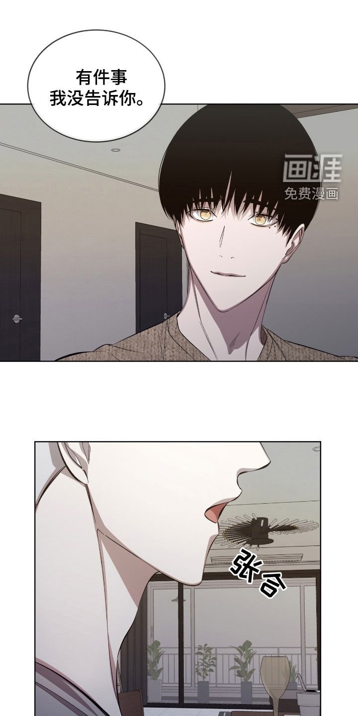 第52章：这是个悲剧