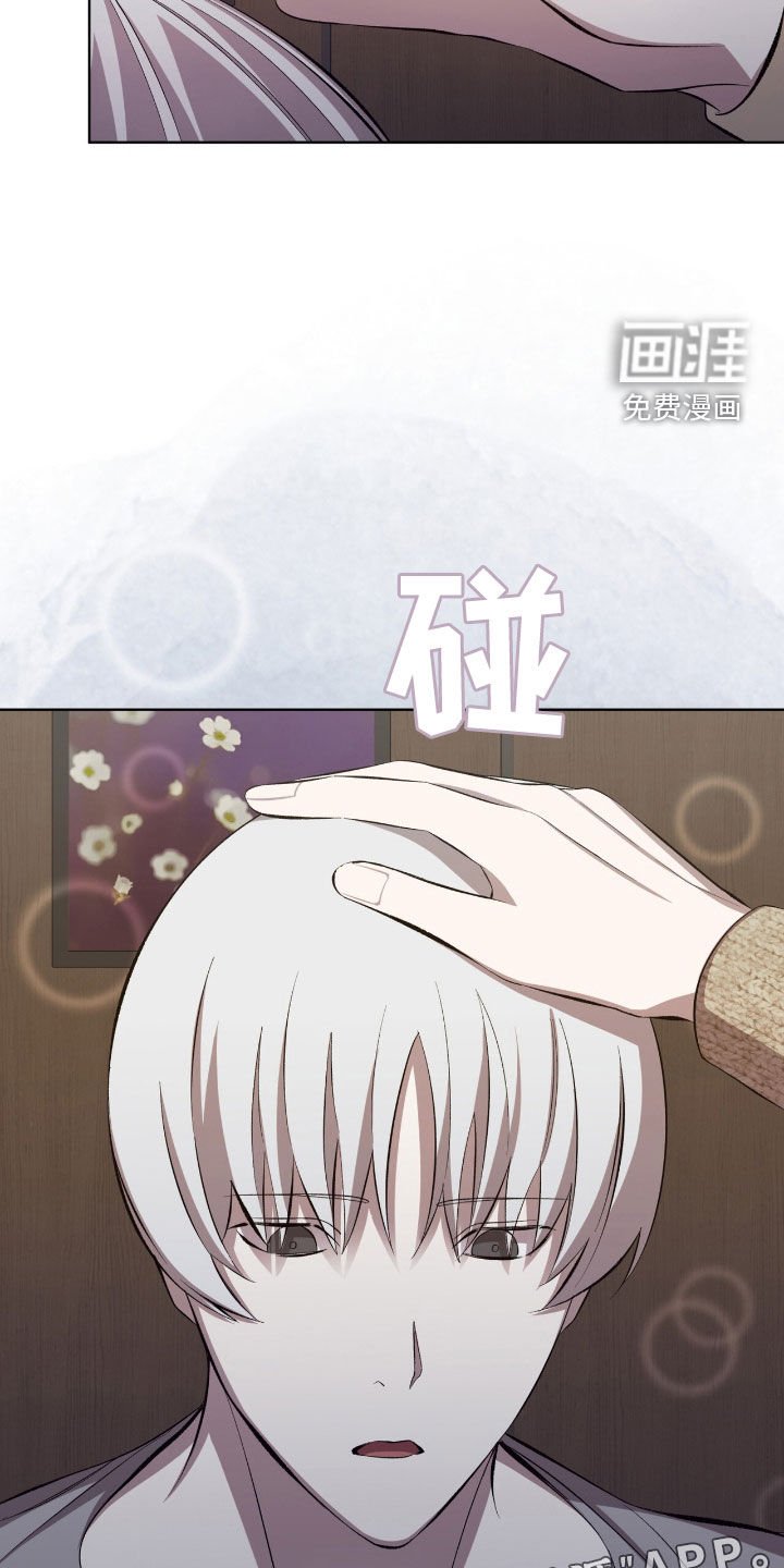 第52章：这是个悲剧