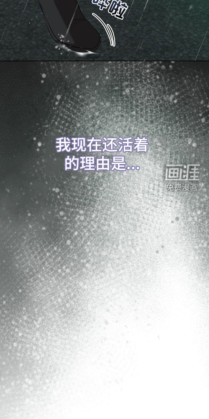 第54章：枪战