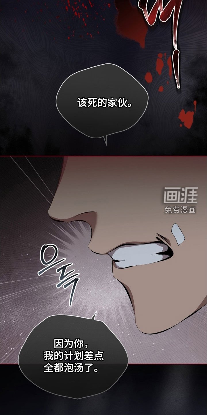 第65章：【第二季】菜鸟