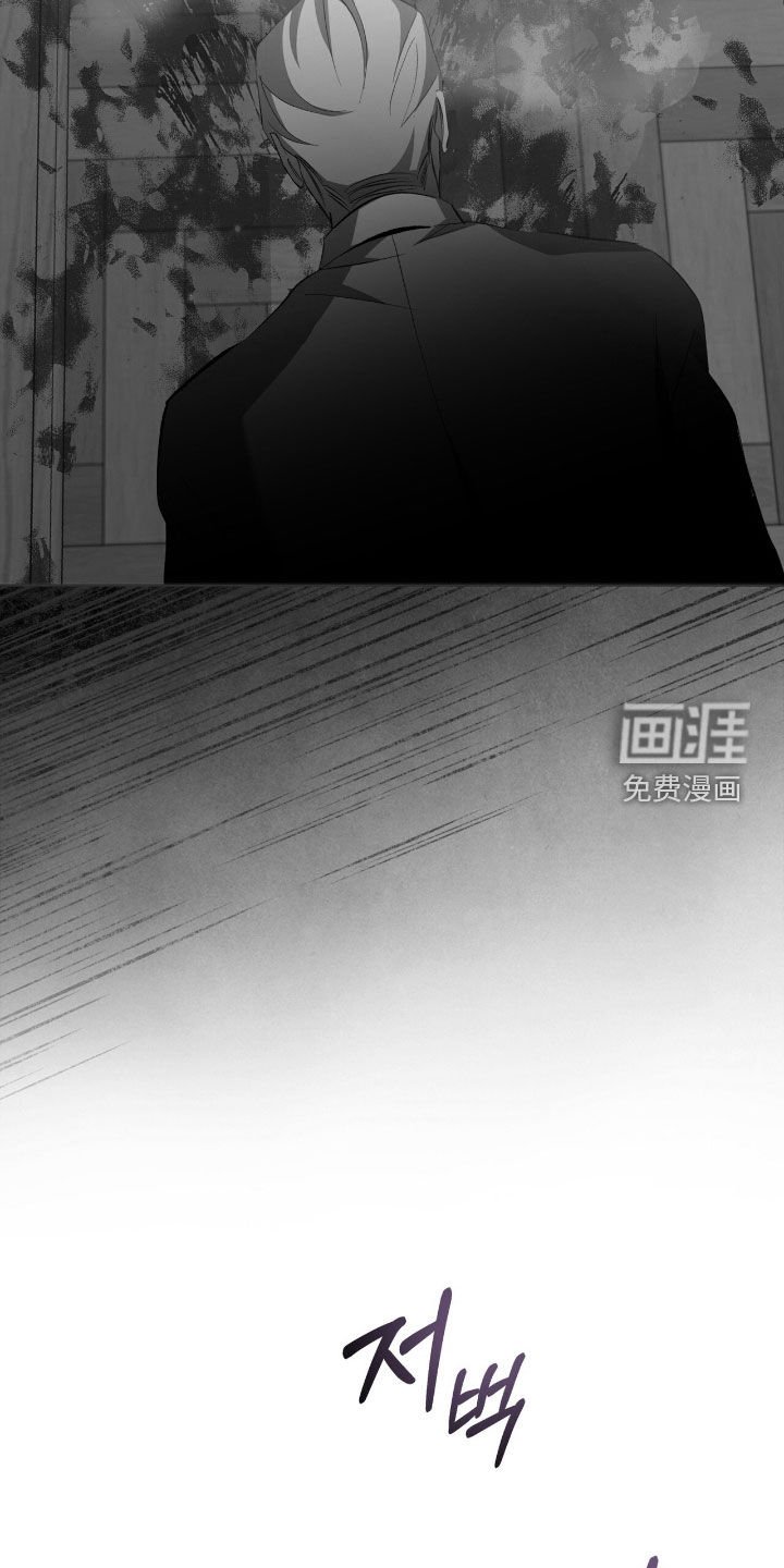 第65章：【第二季】菜鸟