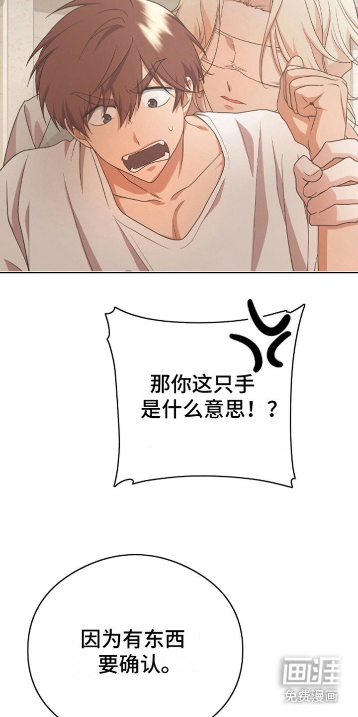 第4章：选择吧