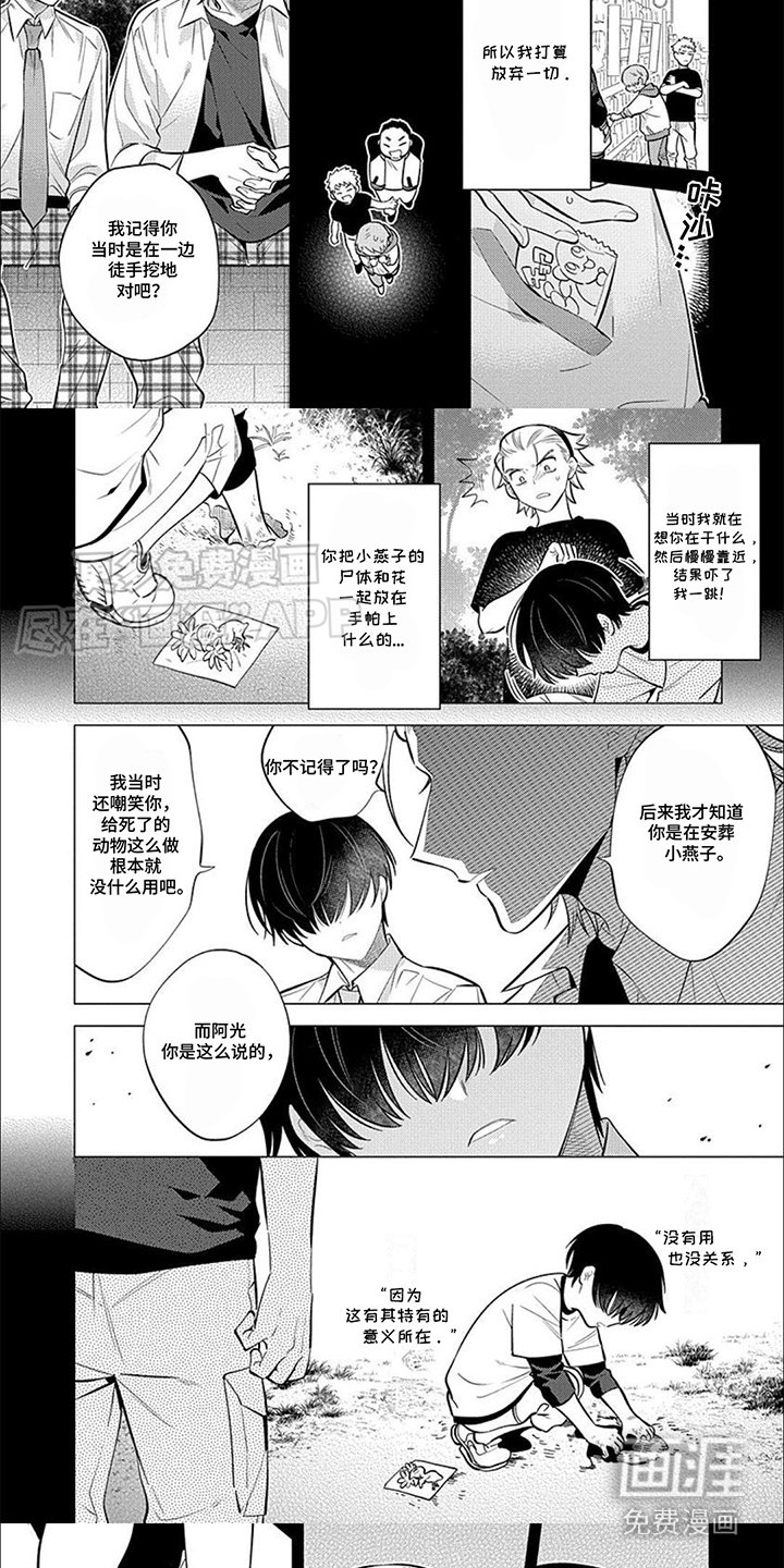 第12章：特有的意义