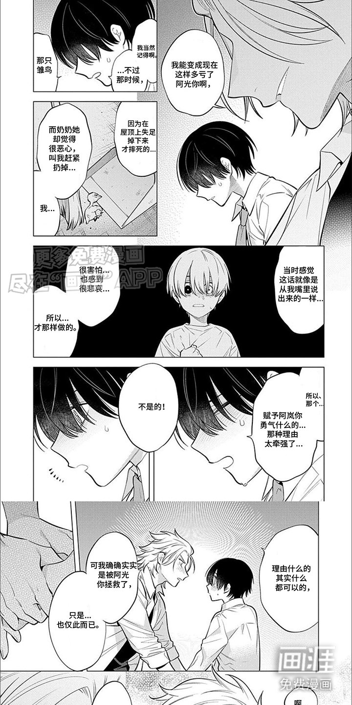 第13章： 选择