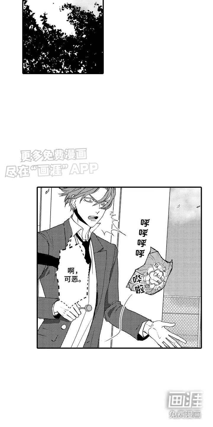 第11章：天台