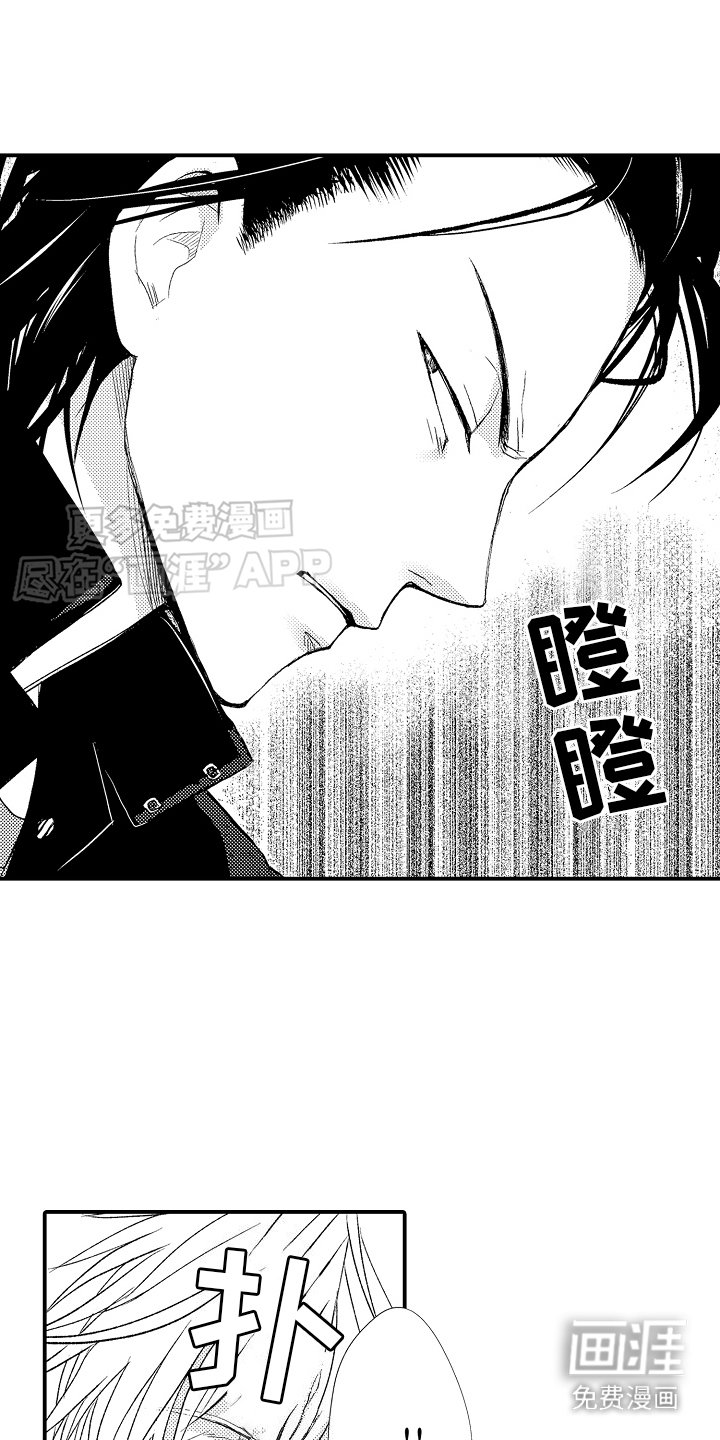 第2章：一见钟情