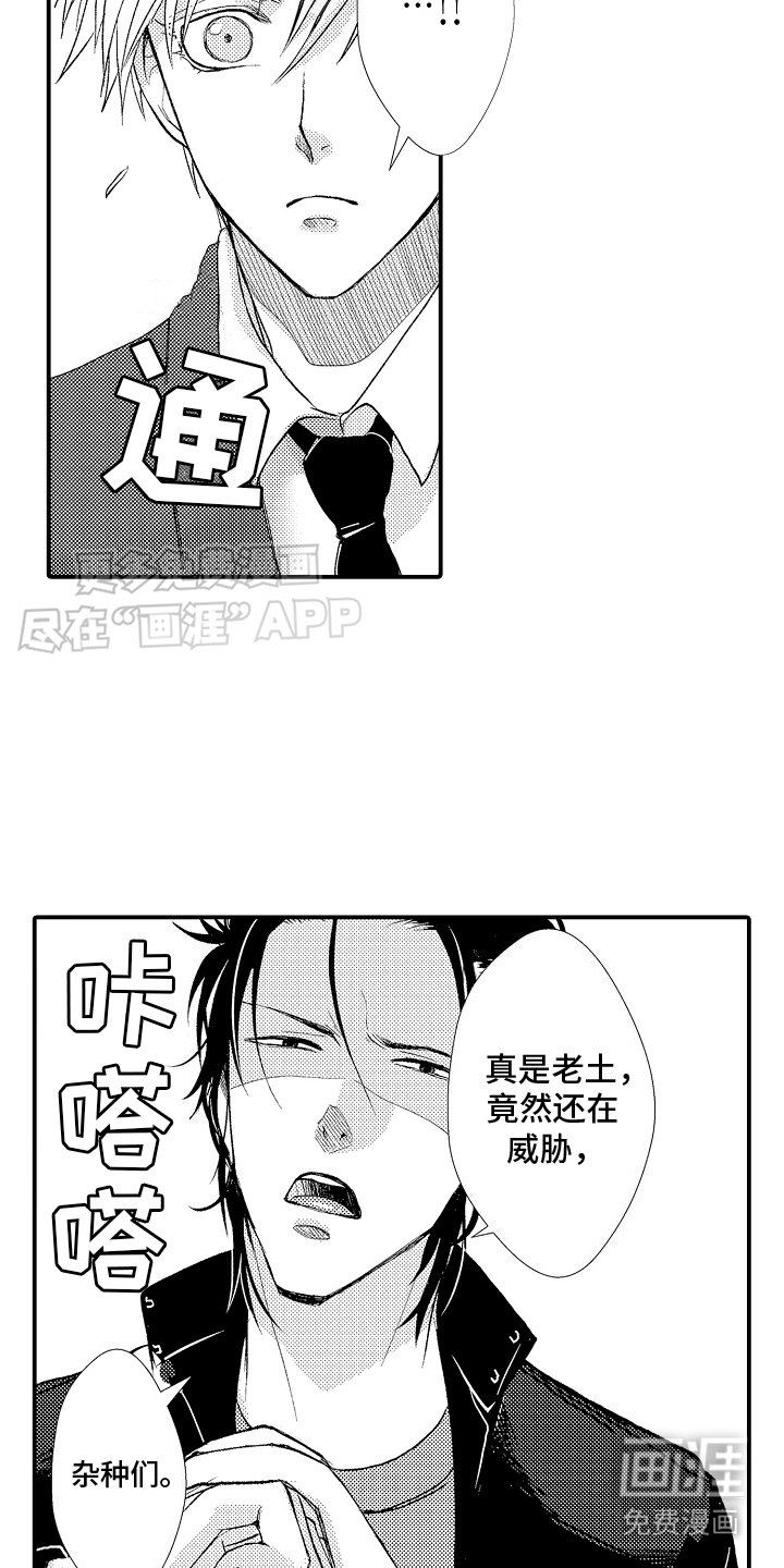 第2章：一见钟情