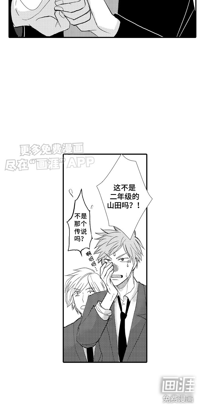第2章：一见钟情