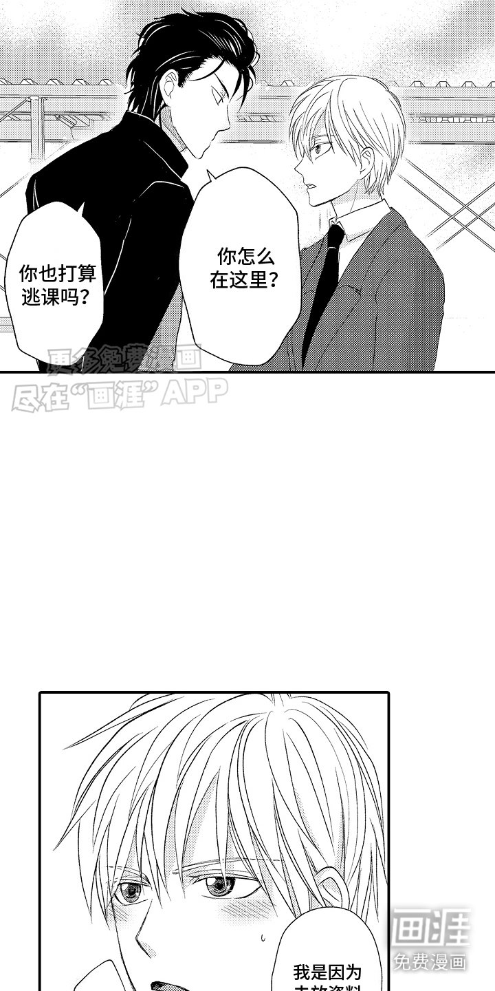 第2章：一见钟情