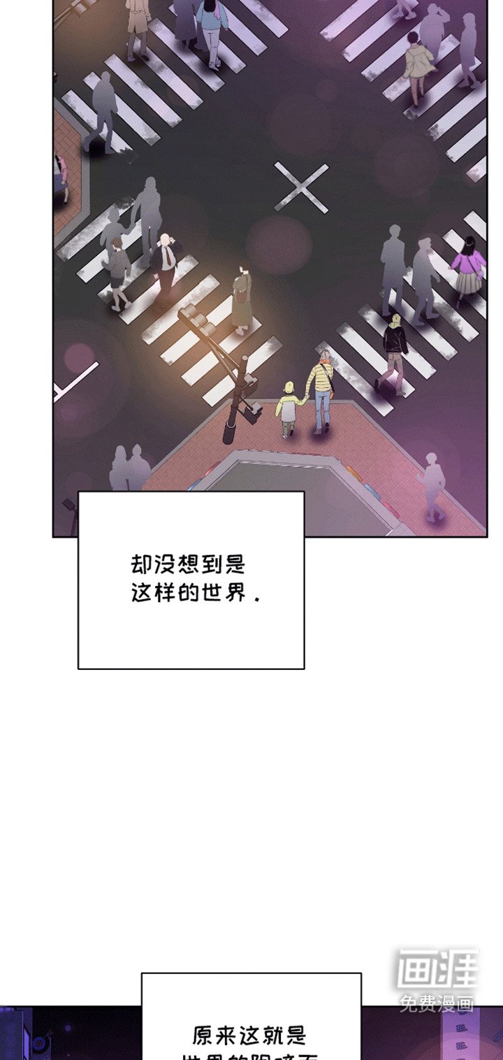 第11章：测试