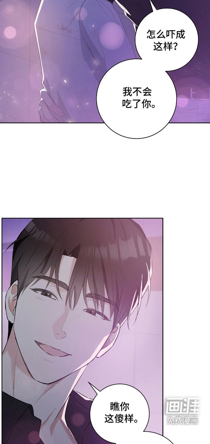 第11章：测试