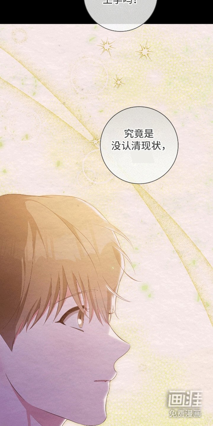 第15章：理由
