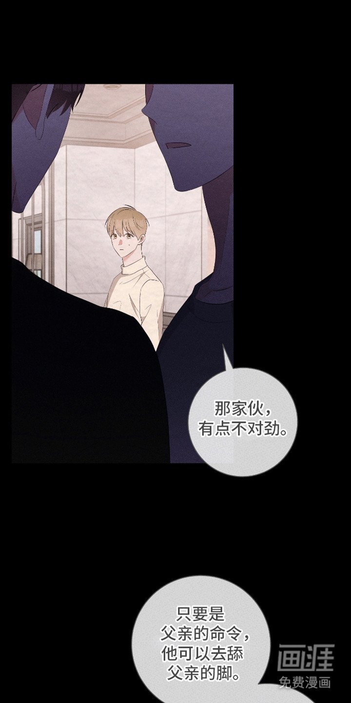 第17章：奖杯