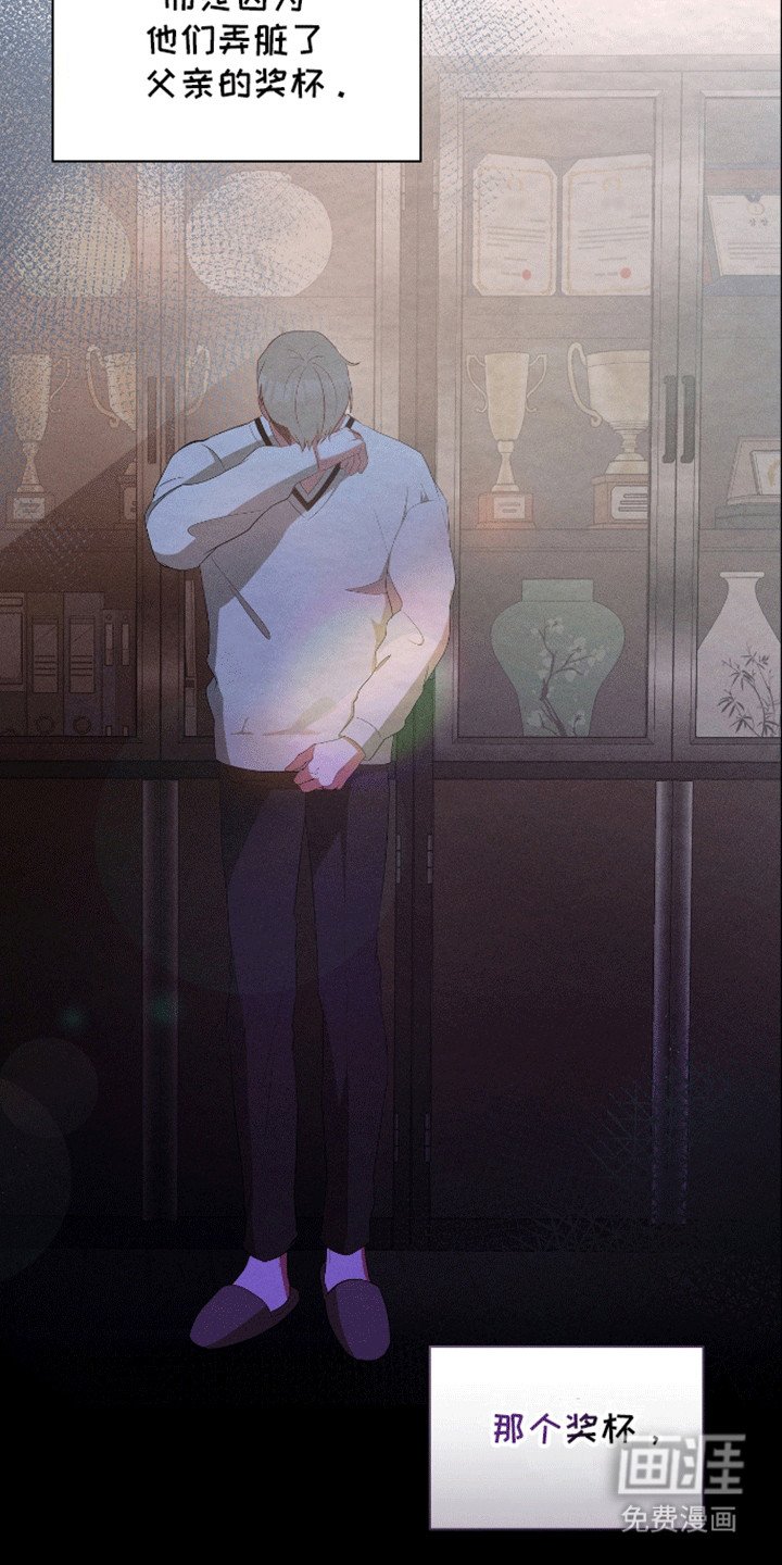 第17章：奖杯