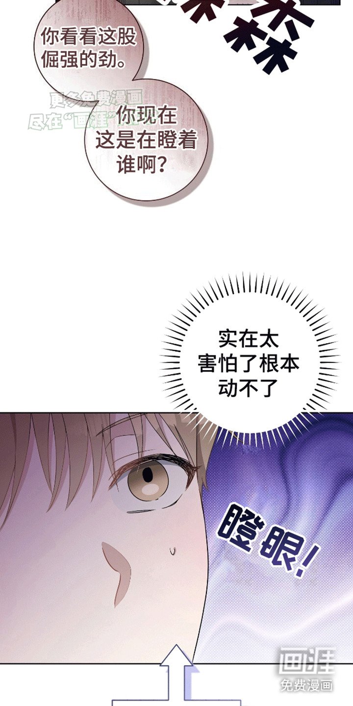 第3章：他是不同的
