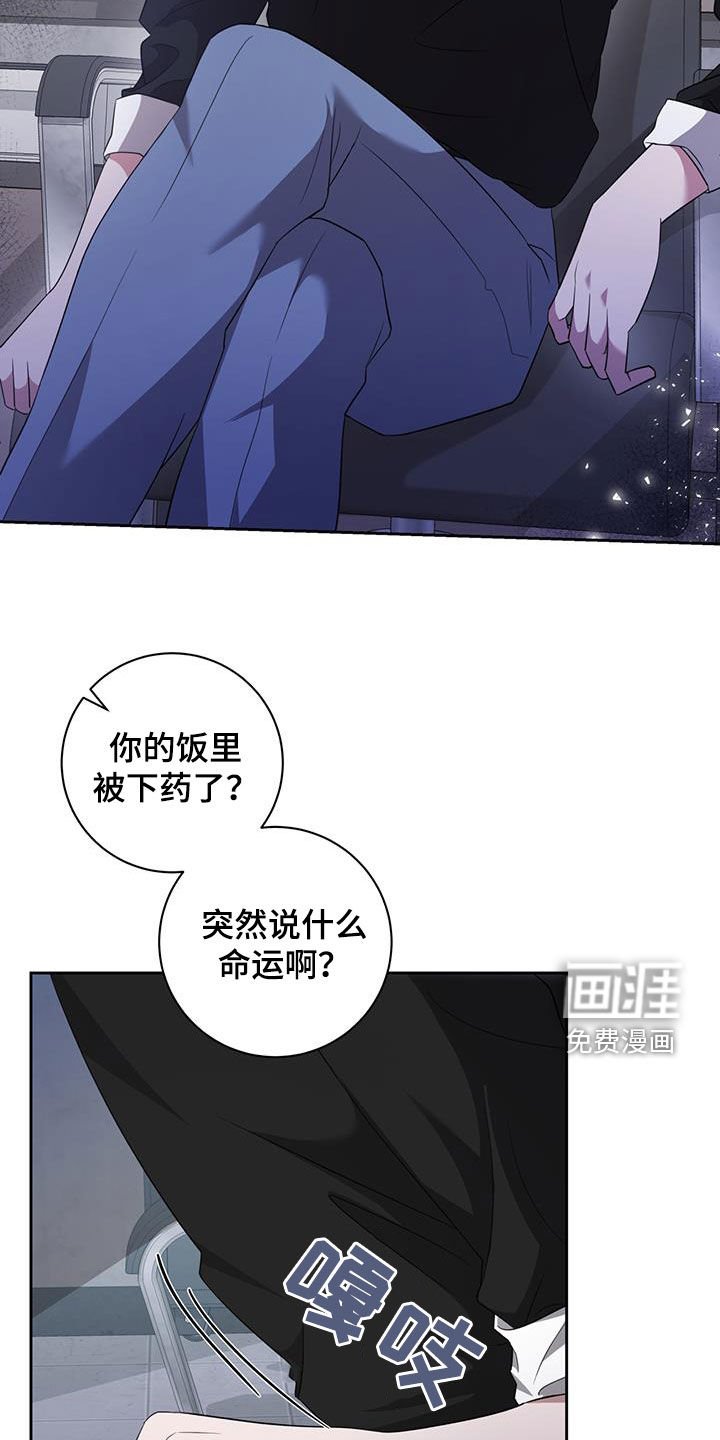 第33章：相信命运