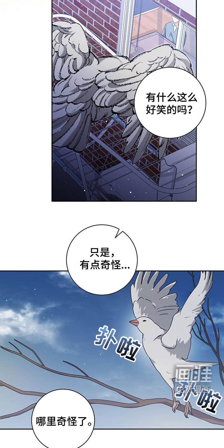 第45章：无所谓
