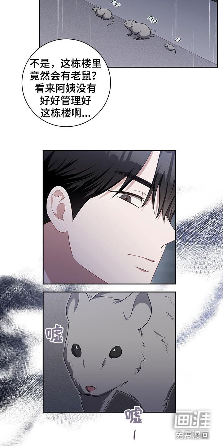 第49章：还有两天（第一季完结）