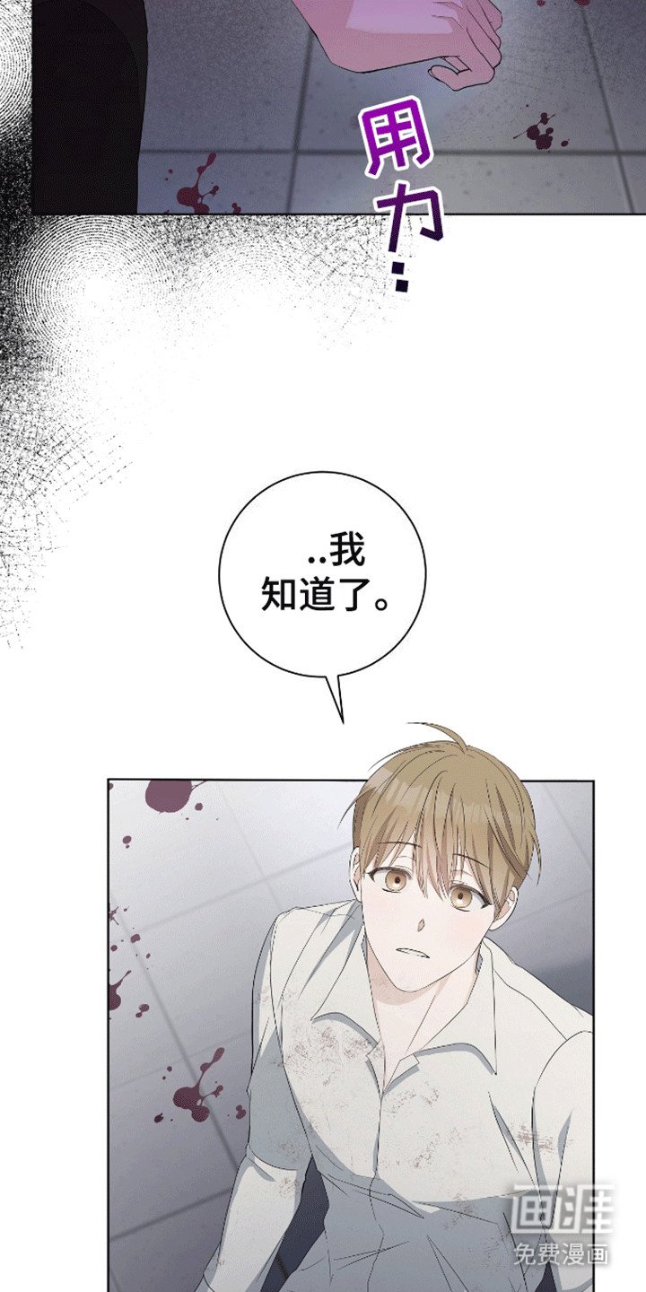 第6章：答应