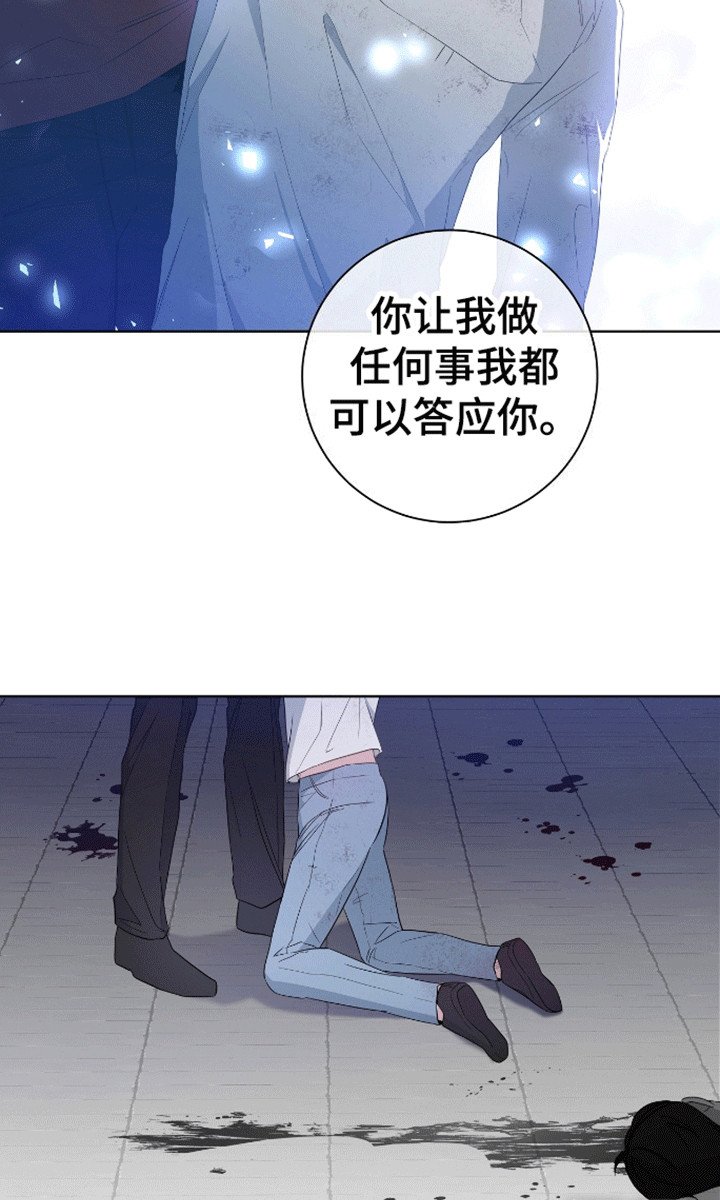 第6章：答应