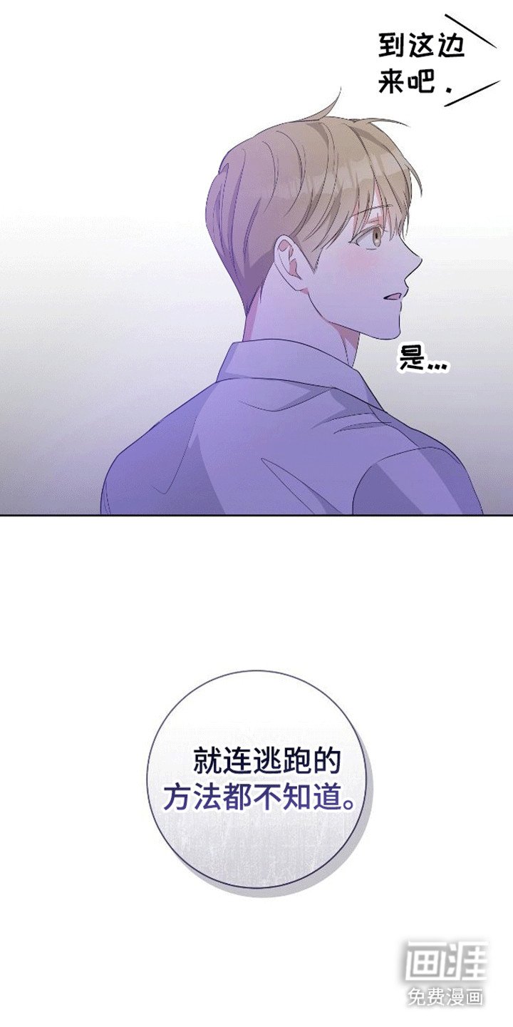 第7章：跑不掉