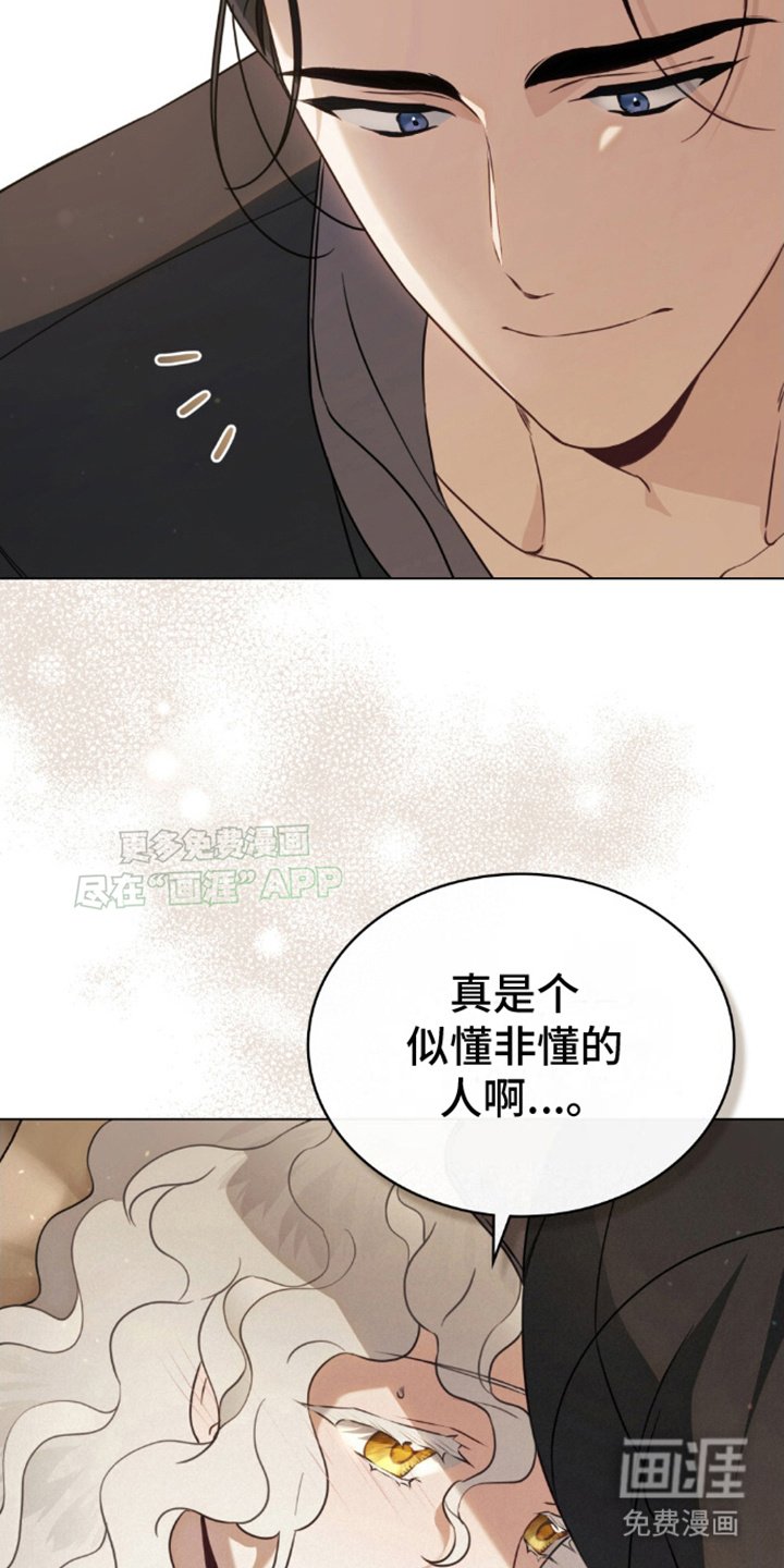 第13章：似懂非懂