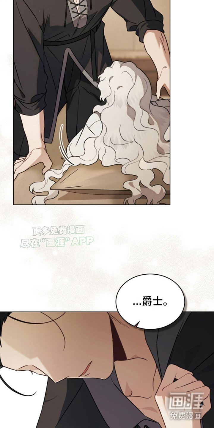第13章：似懂非懂