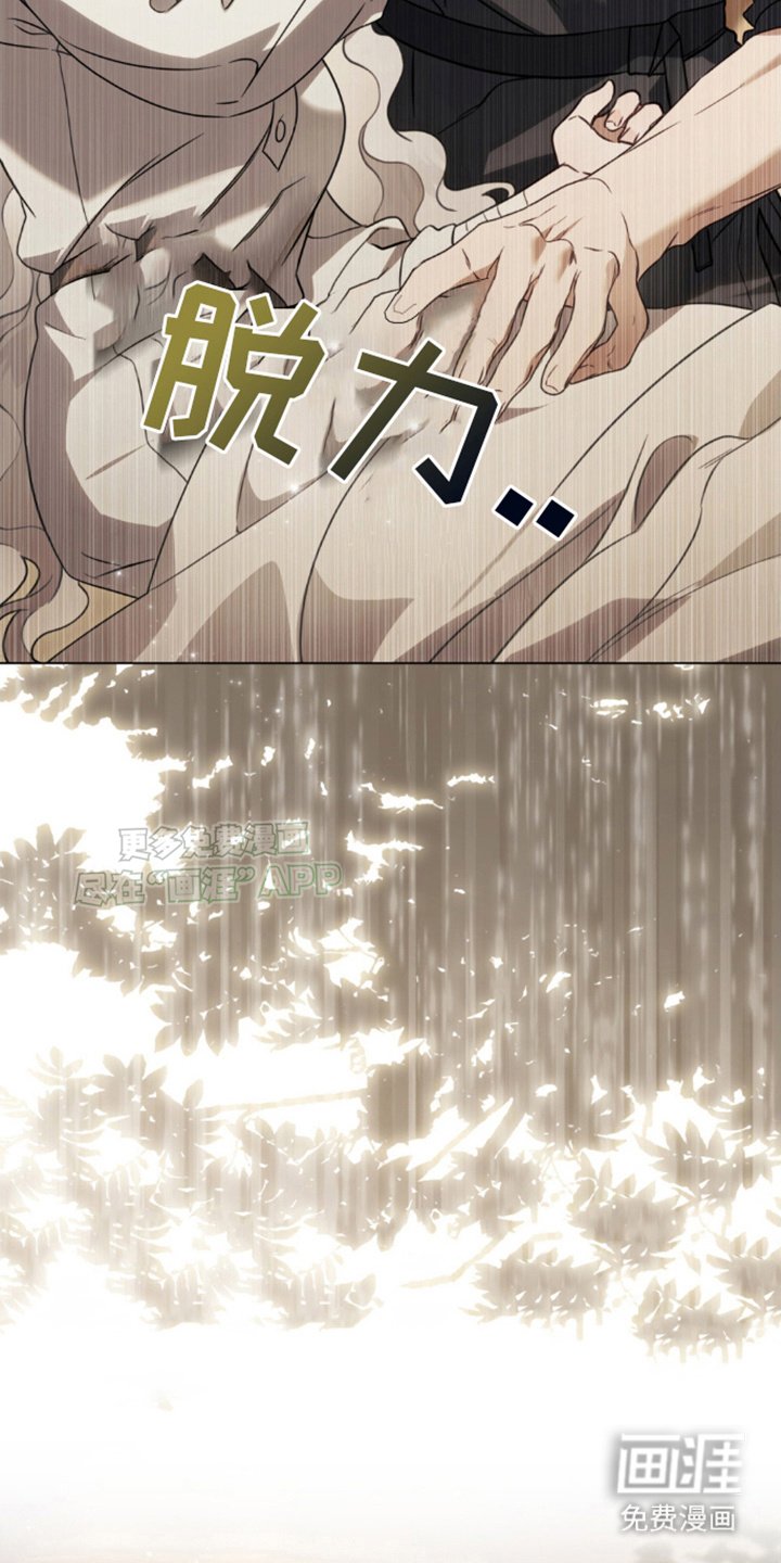 第13章：似懂非懂