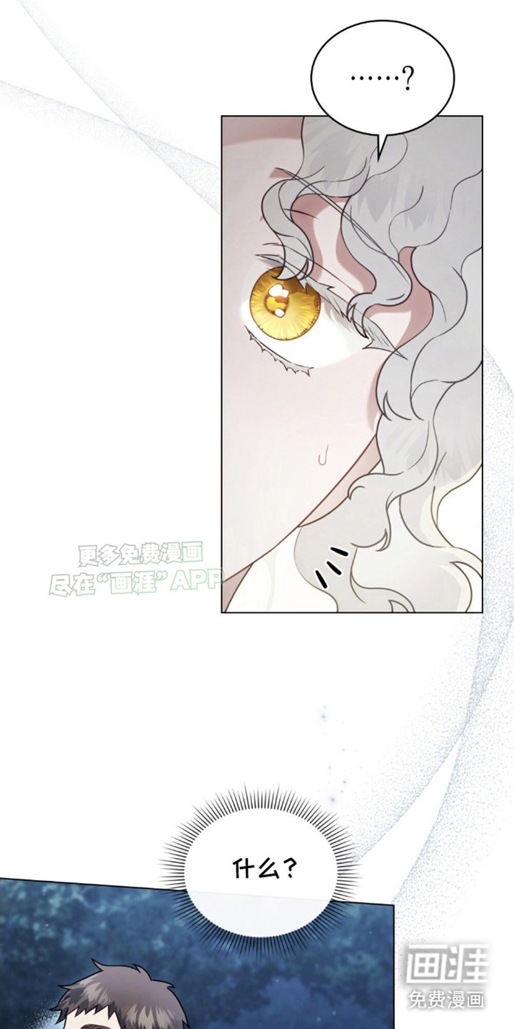 第14章：测试