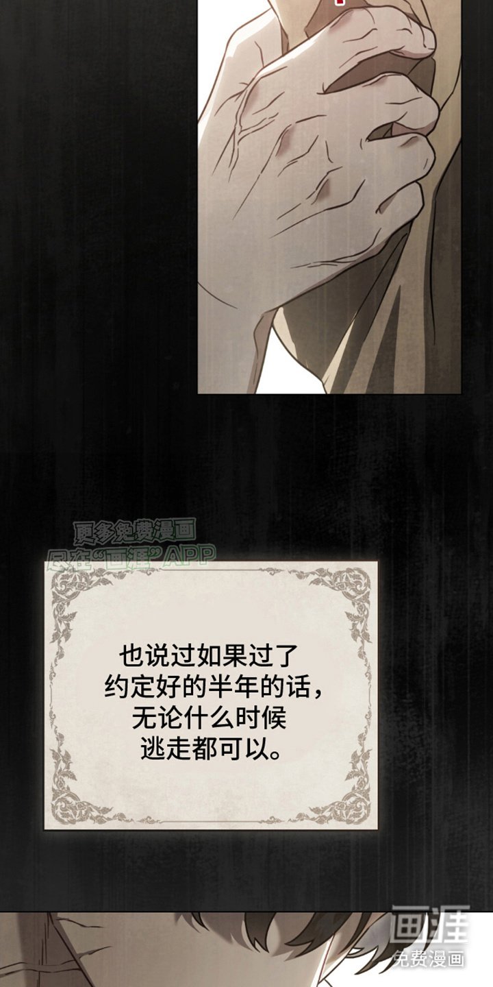 第2章：阿尔甘