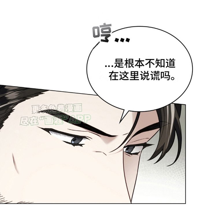 第23章：真假