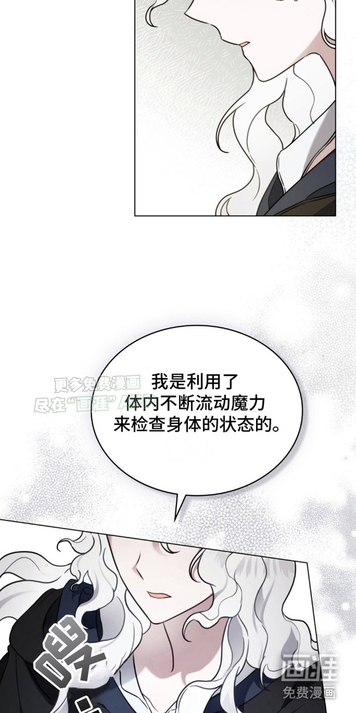 第23章：真假