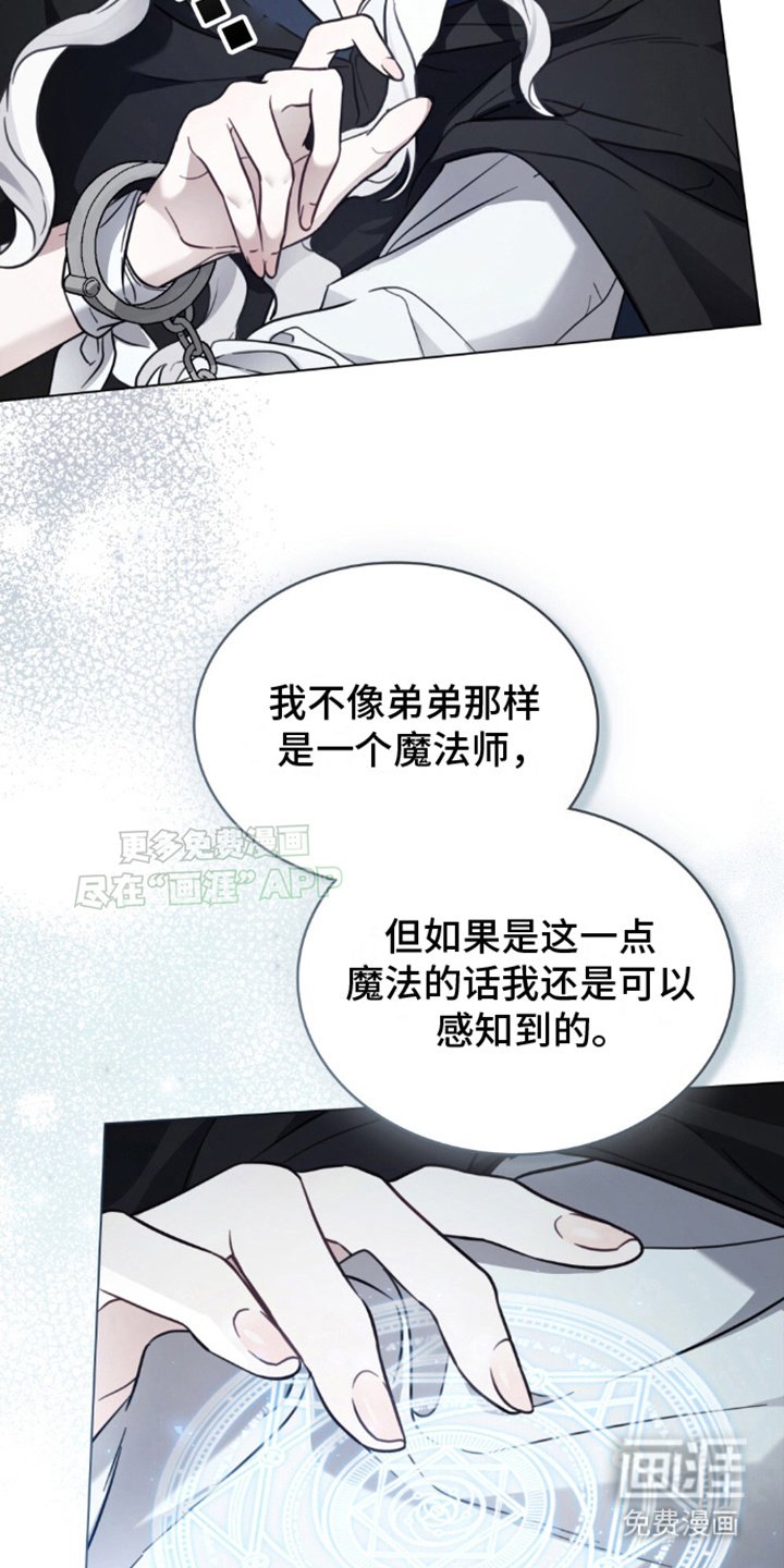 第23章：真假