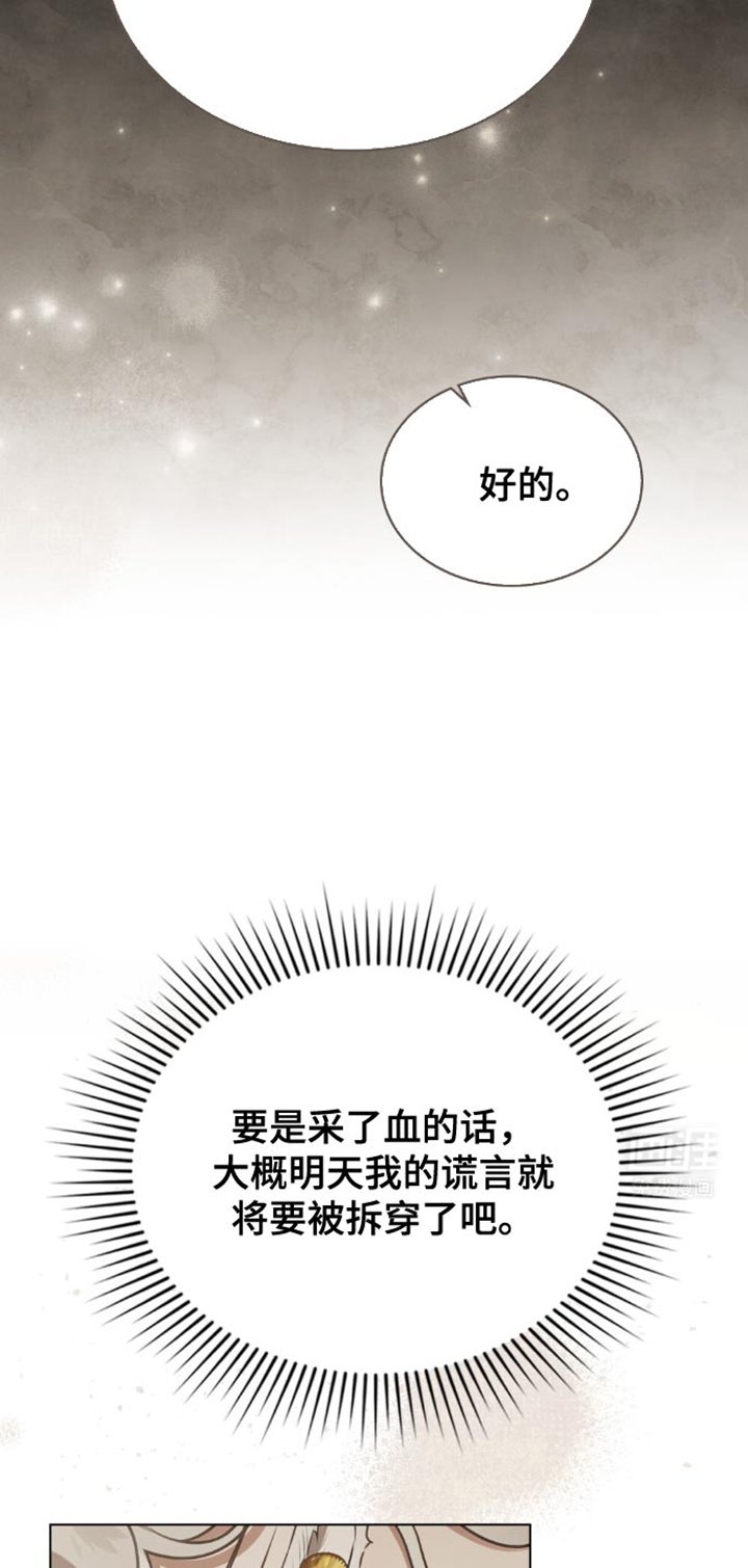 第28章：侍女